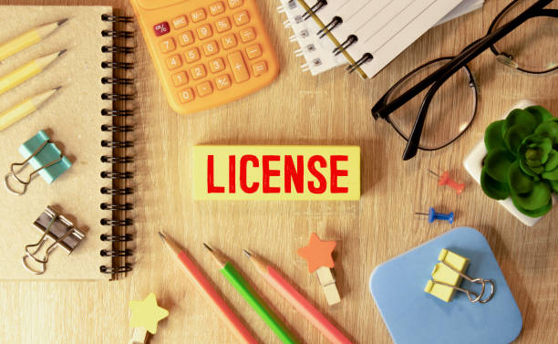 LICENCE - word on wooden cubes on the background of a cactus. Business concept LICENCE - word on wooden cubes on the background of a cactus. Business concept. Securing Licenses and Permits stock pictures, royalty-free photos & images