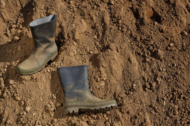Worker boots on soil. stock photo