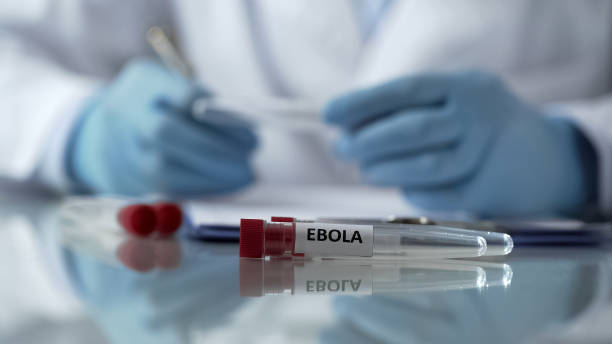 Worker of center for disease control describing effects of ebola virus mutation stock photo