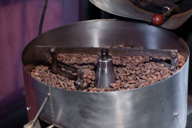 worker roasting cocoa beans in a chocolate making factory - cargo canarias imagens e fotografias de stock