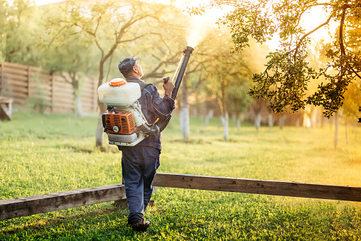 mosquito pest control columbia sc