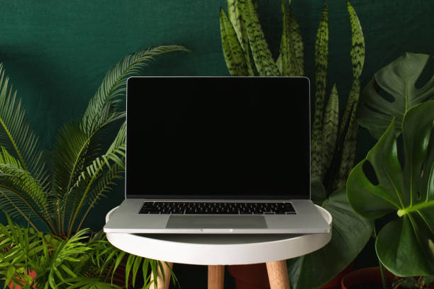 Working at home garden, laptop surrounded with green leafy potted plants Working at home garden, laptop surrounded with green leafy potted plants, front view of the screen, blank space for a text greenhouse table stock pictures, royalty-free photos & images