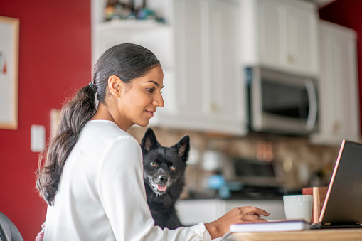 A woman looks at her laptop at home while her dog sits beside her.