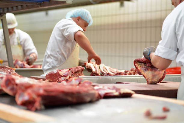 industria alimentare sul posto di lavoro - macelleria di fabbrica per la produzione di salsicce - macellaio taglia carne - macelleria foto e immagini stock