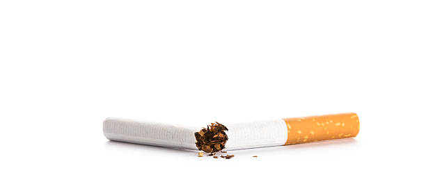 World No Tobacco Day : Broken cigarette isolated on white stock photo