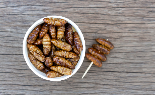 虫の虫や白い紙コップの蛹の蚕が木のテーブルに昆虫からのタンパク質食料源の概念これはタンパク質ビタミンおよび繊維の良いソースです 蠕虫のストックフォトや画像を多数ご用意 Istock