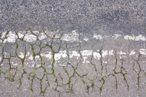 Worn asphalt with grass and other growth in the cracks. stock photo