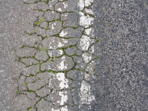 Worn asphalt with grass and other growth in the cracks. stock photo