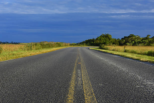 Worn out road in the Everglades National Park, Florida stock photo