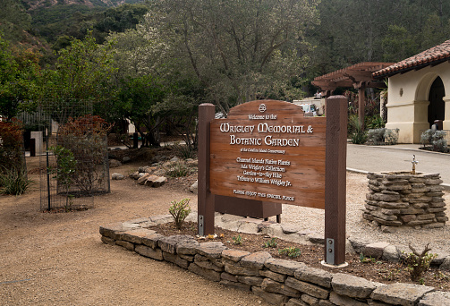 Wrigley Memorial Und Botanischen Garten Auf Catalina Island