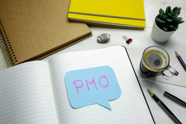PMO (Project Management Office) written in speech bubble stock photo