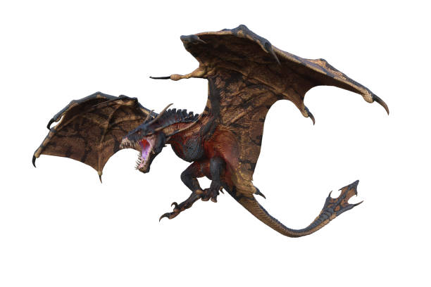 Wyvern or Dragon fantasy creature flying with mouth open to breath fire, 3D illustration isolated on white. stock photo