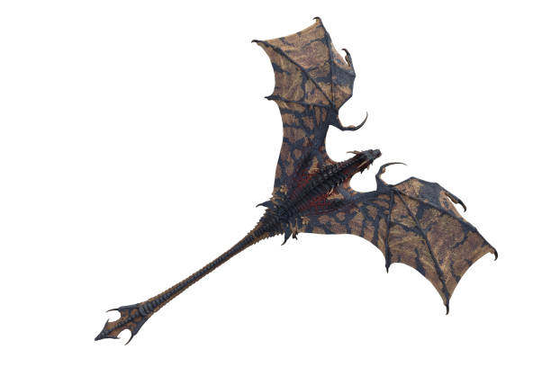 Wyvern or Dragon fantasy creature flying with wings spread, seen from above, 3D illustration isolated on white. stock photo
