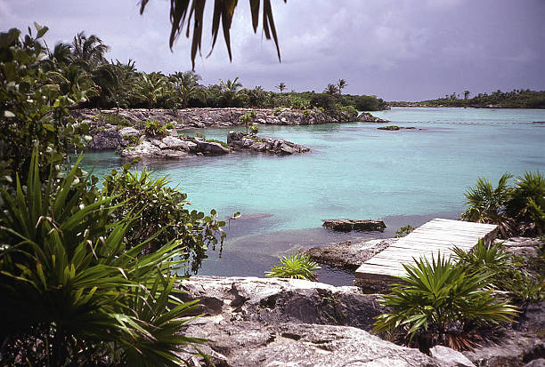 Xel-Ha karts limestone sinkhole and natural aquarium south Cancun Mexico stock photo