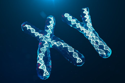 帶有帶有遺傳密碼的Dna 的Xy 染色體遺傳學概念醫學概念未來基因突變改變生物層面的遺傳密碼3d 插圖照片檔及更多