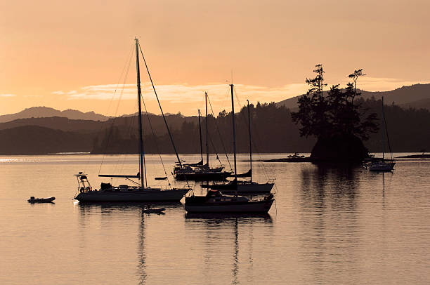 Yachts moored at dusk, Opua Harbour, New Zealand stock photo
