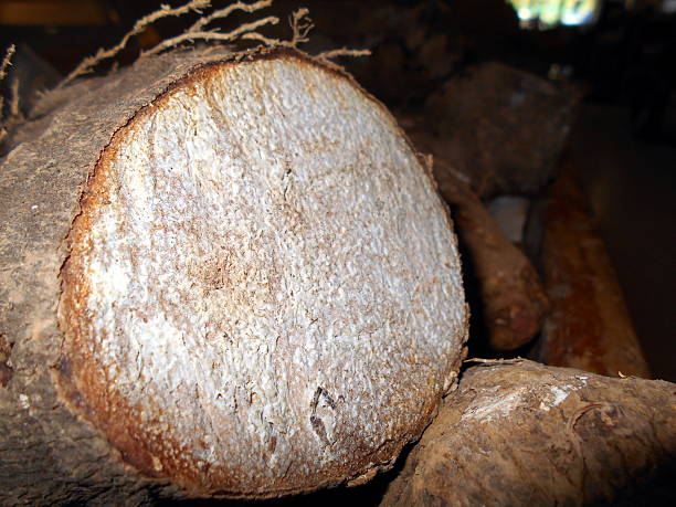 Yam for sale at a market stock photo