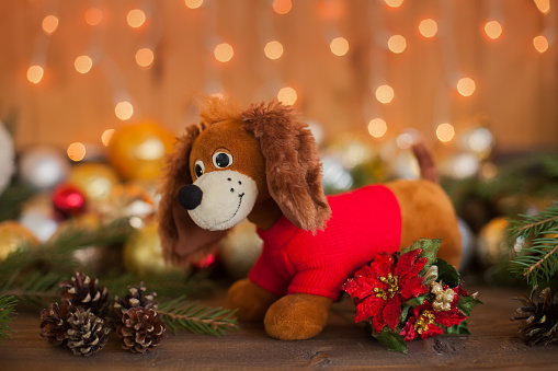 Year Of The Dog On Horoscope Christmas Decorations Stock