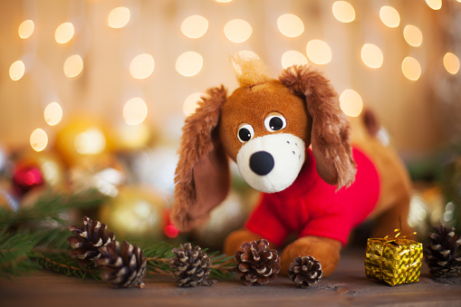 Year Of The Dog On Horoscope Christmas Decorations Stock Photo