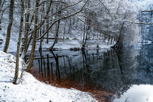 Yedigoller National Park at winter in Bolu at Turkey stock photo