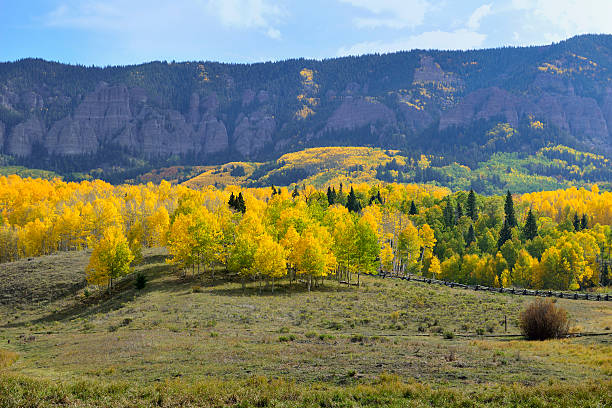 Photo of Yellow and green trees in front of the mountain Colorado