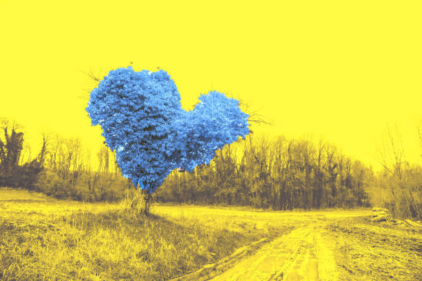 Yellow blue landscape. Heart shaped tree in field. Spring. Peace for Ukraine, solidarity, support abstract background stock photo