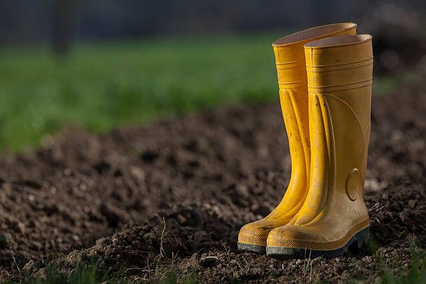 Yellow boots in a home garden stock photo