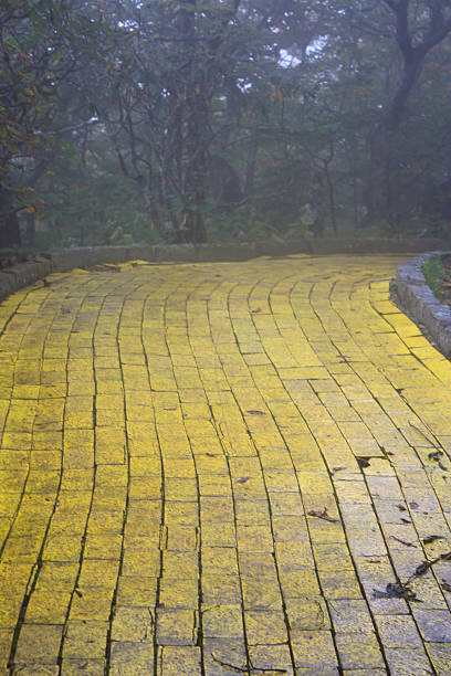 Download Best Yellow Brick Road Stock Photos, Pictures & Royalty-Free Images - iStock