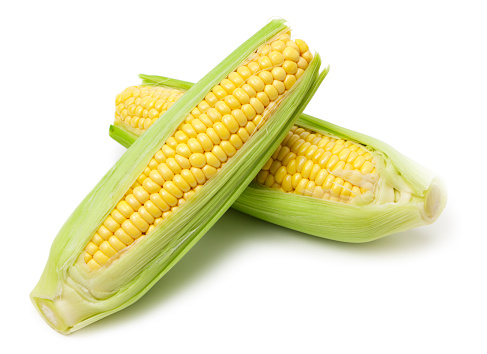 Yellow corn on white background