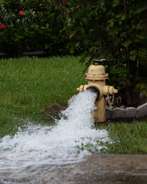 Yellow Fire Hydrant Gushes Water stock photo