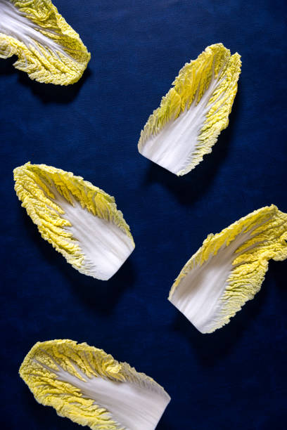Yellow fresh Chinese cabbage leaves on dark blue background . stock photo