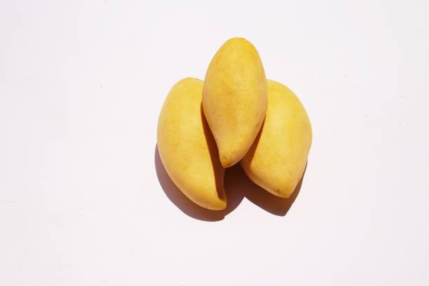 Yellow mango on isolate white background . stock photo