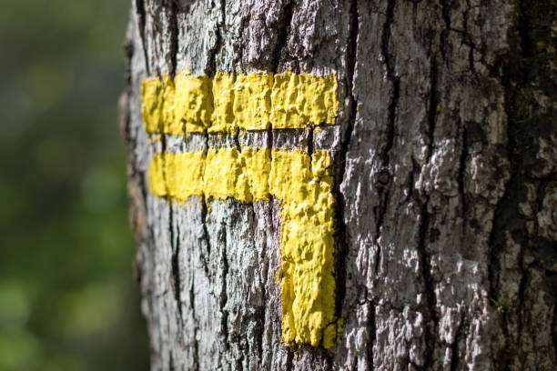 Yellow markings to indicate a PR hiking trail (France) Yellow markings to indicate a PR hiking trail (France) cevennes national park stock pictures, royalty-free photos & images