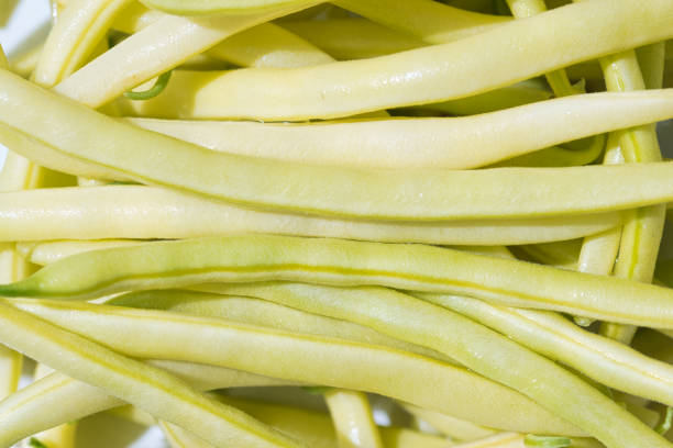 Yellow raw wax beans texture close up, full frame Yellow raw wax beans texture close up, long ripe pods full frame food background runner bean stock pictures, royalty-free photos & images