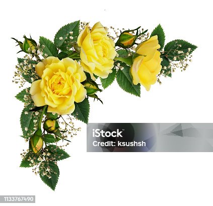 istock Yellow rose flowers in a corner arrangement 1133767490