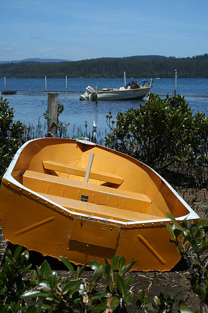 yellow row boat stock photo