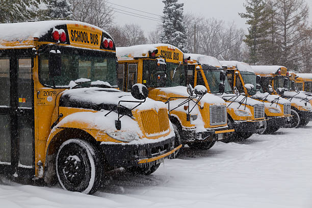 Yellow School Buses Parked in the Snow stock photo