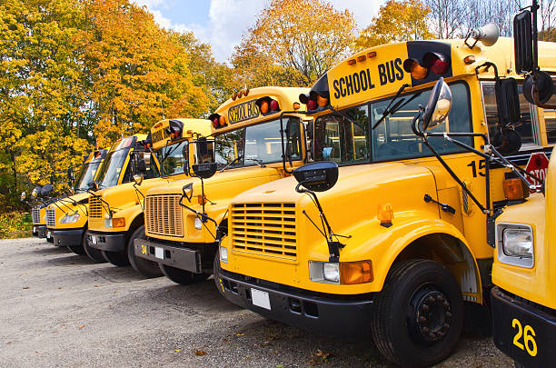 Yellow school buses A row of yellow school buses parked at a lot against colorful autumn trees school bus driver stock pictures, royalty-free photos & images