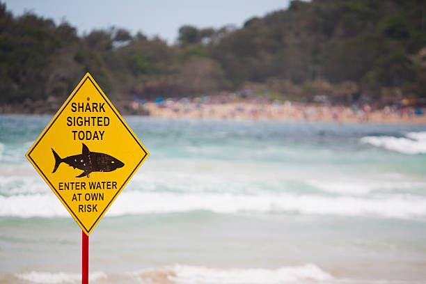 a yellow shark warning sign ahead of the waves at the beach - strandbordjes stockfoto's en -beelden