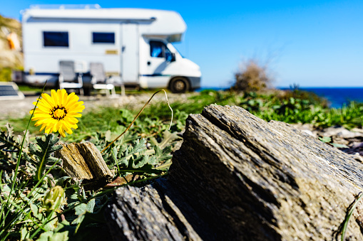 Yellow spring dandelion flower and camper vehicle camping on sea shore in the distance. Caravan vacation. Andalusia Spain.