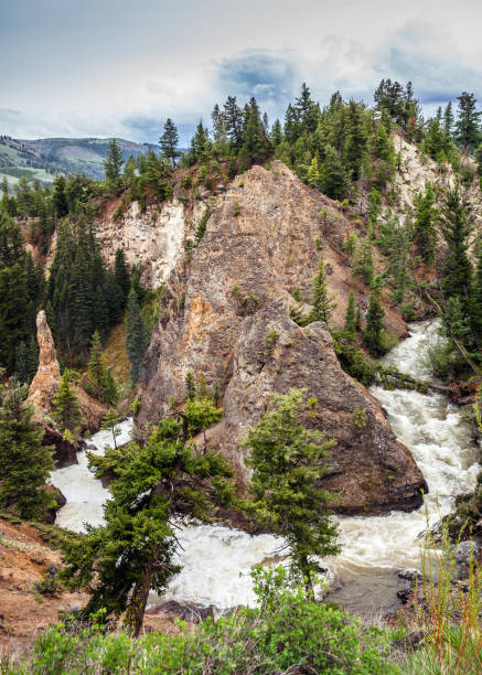 Yellowstone landscape stock photo