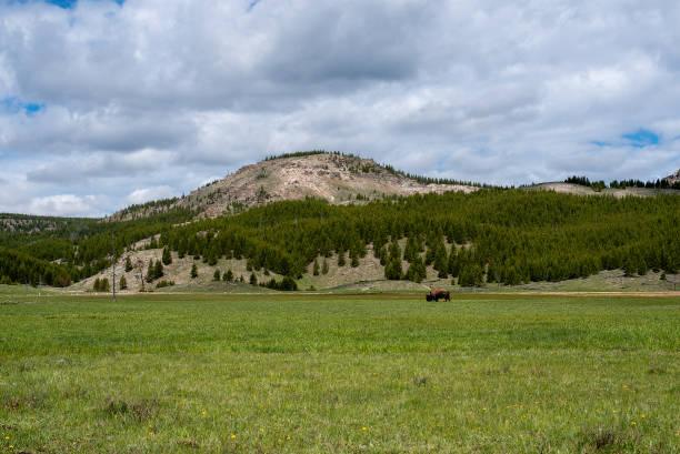 Yellowstone National Park in the late spring stock photo
