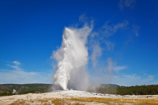 Subject: The Old Faithful Geyser in Yellowstone National Park. The geyser exhibit the spray Eruption once an hour, a famous tourist attraction in the park. Photographed in horizontal format.