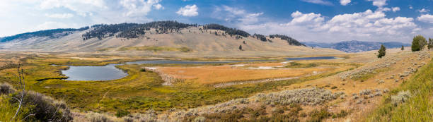 Yellowstone National Park, Park County, Wyoming, United States. Lamar River in the Lamar Valley stock photo