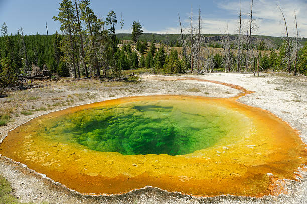 Yellowstone national park stock photo