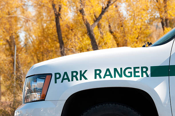 yellowstone national park ranger - rangers 個照片及圖片檔