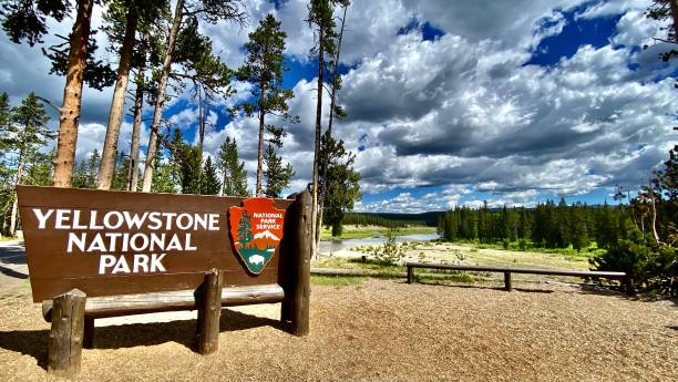 yellowstone national park - sign driving in yellowstone national park - cody, wy - usa samuel howell stock pictures, royalty-free photos & images