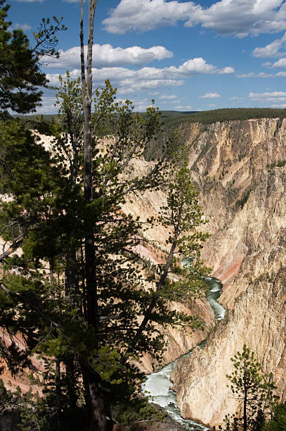 Yellowstone River stock photo