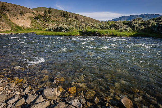 Yellowstone River stock photo
