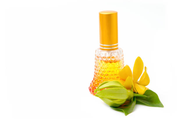 Essential organic oil of ylang-ylang